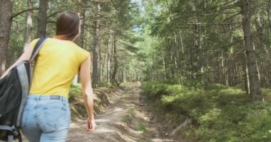 Sırt çantasıyla orman yoluna tırmanan genç bir kadın. Vahşi kozalaklı ağaçların arasında temiz havada yürü.