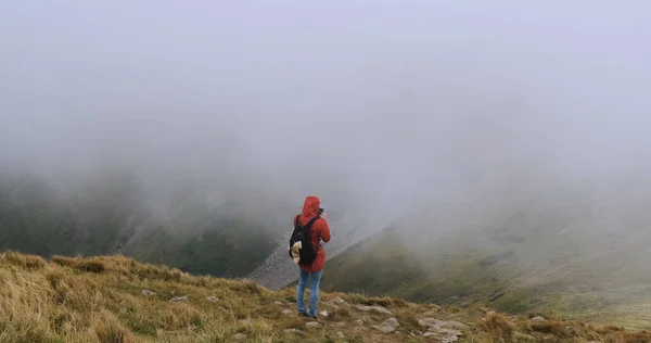 Young girl with a backpack, stands in the mountains on the edge of a cliff and do something on a smartphone, online shopping, correspondence. Strong cloud cover, wind, bad weather. Carpathians — Stok fotoğraf