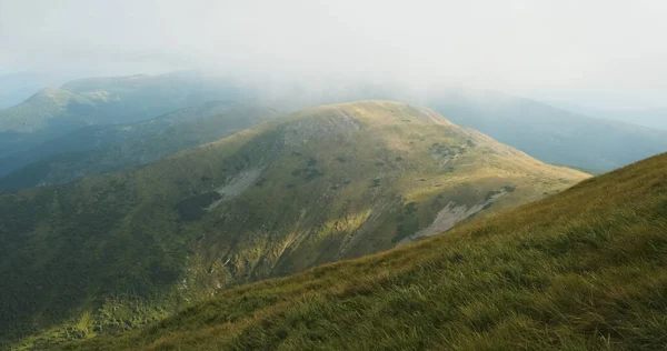 Widok na góry w gęstych chmurach. Mgła po deszczu. Górska pogoda. Karpaty, Ukraina, Europa. — Zdjęcie stockowe