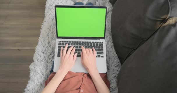 Kvinnliga händer, fingrar skriver på en bärbar tangentbord med en grön skärm. Jobba hemma och ligga på soffan. Frilansare drömmer. Förstapersonsvy — Stockvideo
