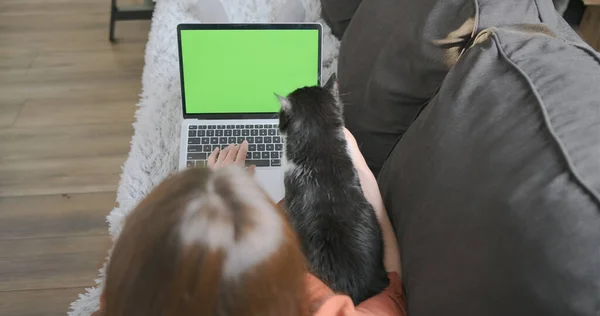 Mujer está acostada en un sofá con un ordenador portátil con una pantalla verde y un gato. Escribiendo en el teclado, acariciando al gato. El concepto de trabajar desde casa, una chica freelancer, animales interfieren con el trabajo, un — Foto de Stock