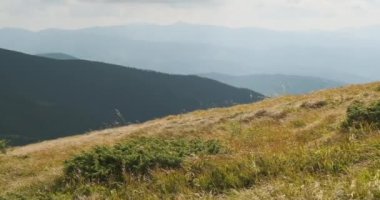 Dağlardaki sarı otlar, rüzgarda sallanıyor. Göz kamaştırıcı dağ tepeleri ve gökyüzündeki bulutlar.