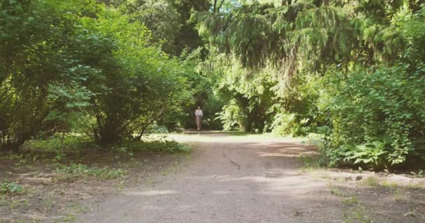 Mulher Vestido Está Andando Direção Câmera Longo Caminho Parque Com — Vídeo de Stock