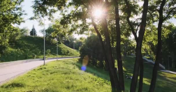Nap Sugarai Áthatolnak Zöld Lombozaton Parkban Zöld Gyep Fűvel Tavaszi — Stock videók