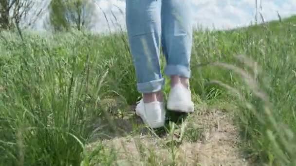 女性の足の緑の芝生の上を歩いている カメラは白いスニーカーを追い 草を切る 春の夏 中程度のショット 移動の概念 高品質 — ストック動画