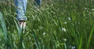 Ayaklar beyaz spor ayakkabılarda, yeşil uzun otların arasından geç. Kamera ayaklarını takip ediyor. Gün ışığı tasarrufu, yakın plan. Yüksek kalite 4k görüntü