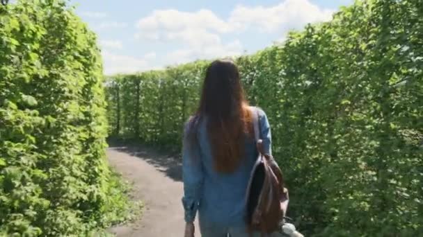 Jonge Vrouw Loopt Door Doolhof Van Groene Hoge Struiken Camera — Stockvideo