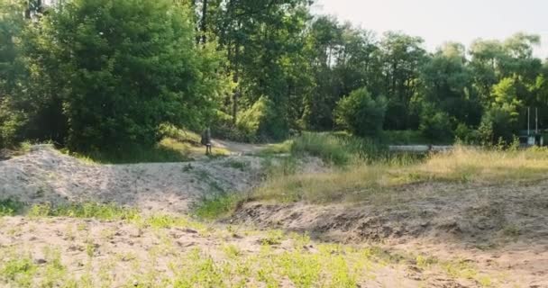 Svärm Små Myggor Snurrar Luften Nära Skogen Sand Skog Och — Stockvideo