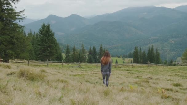 Young Long Haired Girl Walks Clearing Looking Mountains Ahead Green — Stockvideo
