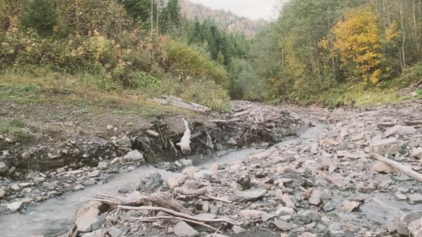 Górski Strumień Przepływa Przez Kamienie Brukowe Dół Zielony Las Krzaki — Wideo stockowe