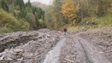 Turist dişi, orman yok etme makineleri için dağ yolunda yürüyor. Yol boyunca dağ nehri akar, çamur. Orman, dağlar. Ön manzara, bahar sonbaharı. Karpatlar, Ukrayna, Avrupa, geniş açı