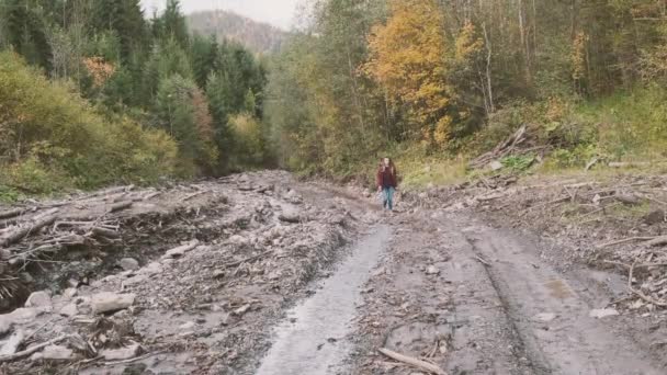 Tourist Female Walks Mountain Road Deforestation Machines Road Flows Mountain — Wideo stockowe
