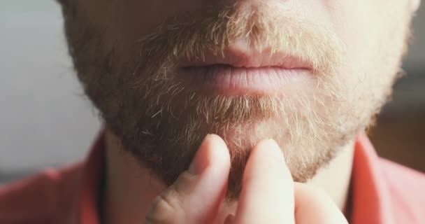 Young Man Strokes His Beard Close Face Portrait Front View — Stock video