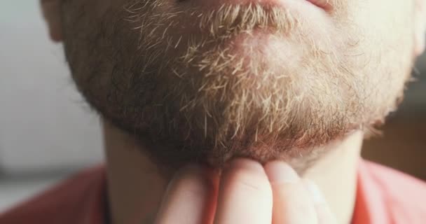 Young Man Strokes His Beard Close Face Portrait Front View — 비디오