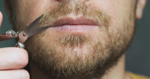 Mans Mustache Trimmed Scissors Close Front View Chin Face Concept — 비디오