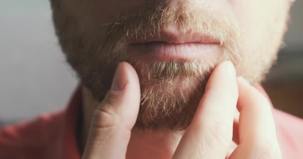 Young Man Strokes His Beard Close Face Portrait Front View — Video