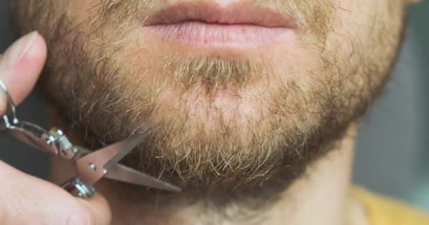 Mans Beard Trimmed Scissors Close Front View Chin Face Concept — Video Stock