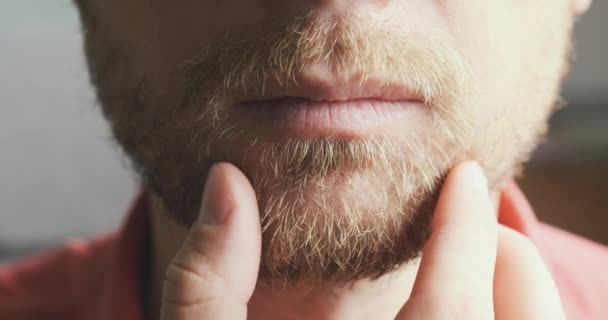 Young Man Strokes His Beard Close Face Portrait Front View — Stok video