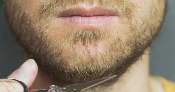 Mans Beard Trimmed Scissors Close Front View Chin Face Concept — Video Stock