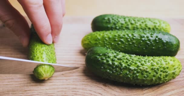 Hands Cut Green Cucumber Rings Knife Close Cook Concept Salad — ストック動画