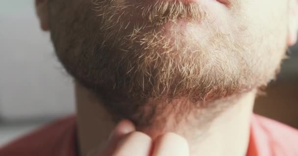 Young Man Strokes His Beard Close Face Portrait Front View — Stok video