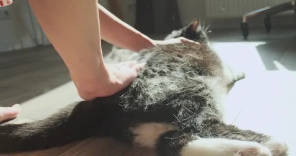 Womens Hands Sniff Out Porridge Lying Floor Back View Fingers — Vídeo de Stock