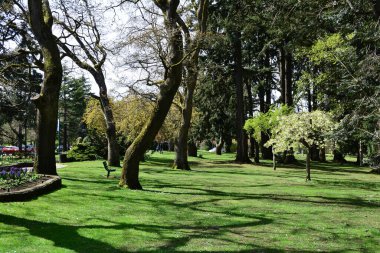 Victoria BC, Kanada 'daki Beacon Hill Parkı. Victoria 's premium park Victoria' da ziyaret edilmesi gereken bir yerdir..