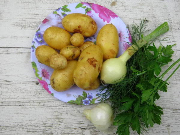 Молодая Картошка Травы Лук Тарелке — стоковое фото