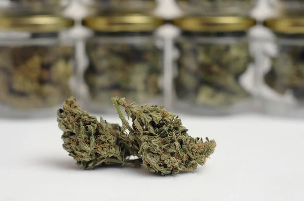 Füvet Kannabisz Szárítás Gyógyítás Marihuána Rügyek Üvegedényekben Öko Konténer Kendertermesztési — Stock Fotó