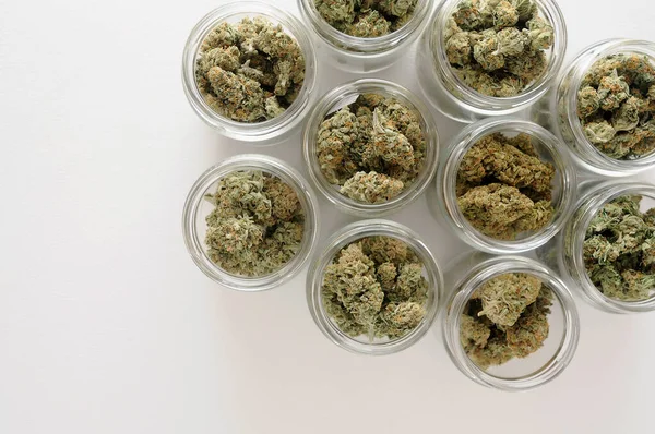 Kannabisz Szárítás Gyógyítás Marihuána Rügyek Üvegedényekben Öko Konténer Kendertermesztési Koncepció — Stock Fotó