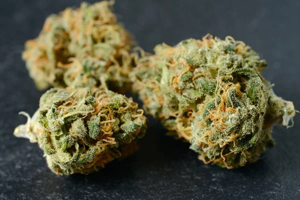Dried Cannabis Blooms Macro View Close Medicinal Marijuana Flowering Trichomes — Stock Photo, Image
