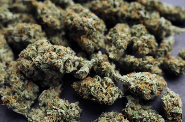 Marihuana Brotes Cbd Primer Plano Fondo Floración Del Cannabis Medicinal — Foto de Stock