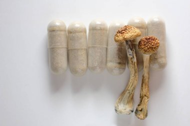 Mikro doz konsepti. Kuru psilosibin mantarları ve beyaz arka planda doğal bitkisel haplar. Tıbbi destek olarak saykodelik sihirli mantar.. 