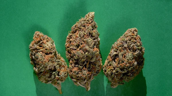 Kannabiszbimbók Közelsége Makró Kilátás Gyógynövény Marihuána Virágzik Trichomes Smaragd Zöld — Stock Fotó