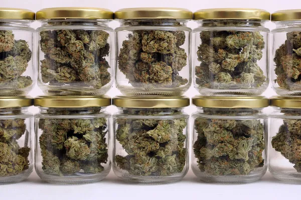 Cannabis Trocknen Und Aushärten Marihuana Knospen Glas Öko Container Hanfanbau — Stockfoto