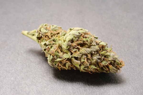 Vista Macro Una Floración Cannabis Mclose Brote Medicinal Cbd Con — Foto de Stock