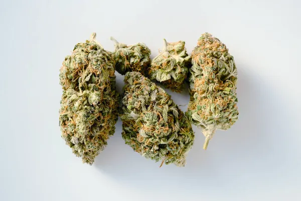 Layout Cannabis Buds Macro View Medicinal Marijuana Blooms Trichomes Isolated — Stock Photo, Image