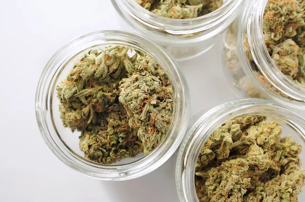 Stockage Des Bourgeons Marijuana Cannabis Médicinal Fleurissant Sur Fond Blanc — Photo