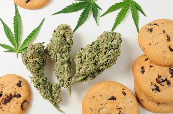 Kannabisz Ehető Csokis Sütik Cbd Olajjal Marihuána Bimbók Fehér Háttérrel — Stock Fotó