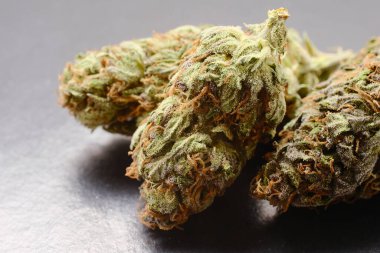 Kurumuş kenevir tomurcukları, makro manzara, yakın plan. Tıbbi marihuana, arka planda üç parçalı çiçek açar. Strain GG4 (Goril yapıştırıcısı). 
