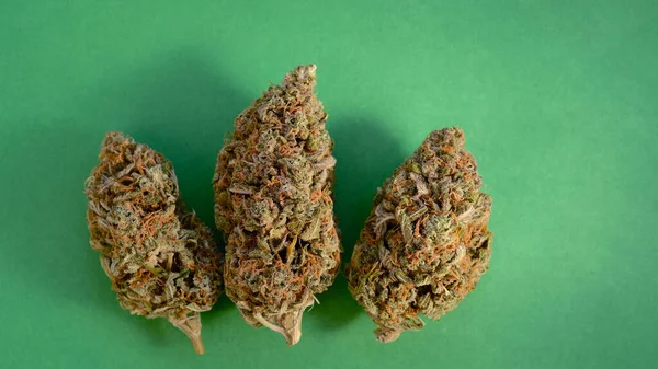 Detailní Záběr Konopných Pupenů Cbd Makropohled Léčivá Marihuana Kvete Trichomy — Stock fotografie