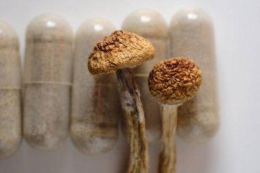 Mikro doz konsepti. Kuru psilosibin mantarları beyaz arka planda doğal bitkisel haplardır. Tıbbi destek olarak saykodelik sihirli mantar.. 