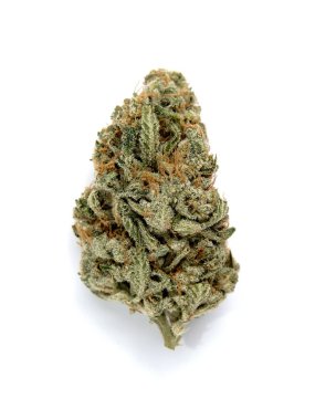 Marihuana tomurcukları yakın plan. Tıbbi esrarın beyaz arka planda çiçek açması, izole edilmiş. Kenevir rekreasyonu, tıbbi kullanım, yasallaştırma. 