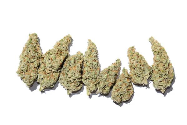 Marihuanové Poupata Zblízka Léčivé Konopí Kvetoucí Bílém Pozadí Izolované Rekreace — Stock fotografie