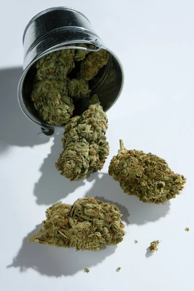 Száraz Kannabisz Marihuána Egy Fehér Hátterű Vödörben Szerves Kender Termesztés — Stock Fotó