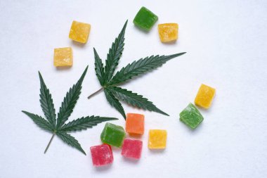 Renkli marmelat ve marihuana yaprağının beyaz dokulu arka planı. CBD yağlı tatlılar. Üst manzara, düz uzanma.