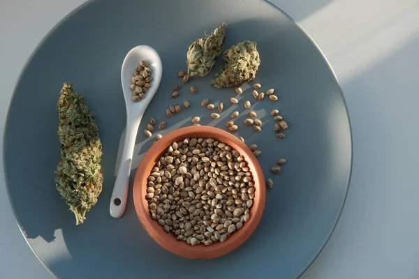 Montón Semillas Cannabis Encuentran Una Cuchara Plato Con Varios Brotes — Foto de Stock