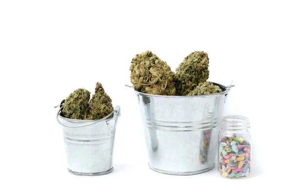 干大麻放在水桶里 肥料在白色背景上分离 大麻收获的概念 大麻业的生产力 — 图库照片