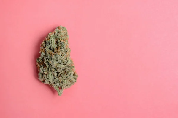 大麻芽特写 药用大麻在玫瑰背景上开花 大麻的娱乐 医疗用途 合法化 — 图库照片