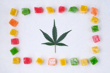 Renkli marmelat ve marihuana yaprağının beyaz dokulu arka planı. CBD yağlı tatlılar. Üst manzara, düz uzanma.